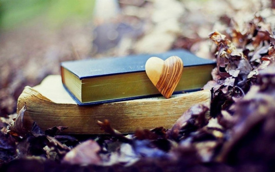 Десять книг о любви обсудят участники «Литературной гостиной» в областной библиотеке